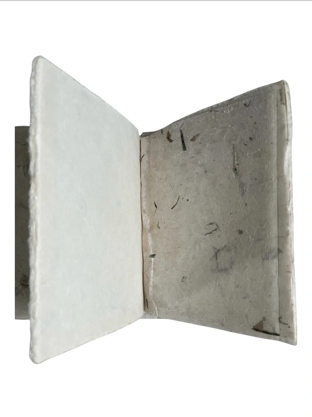 NEW Botanical Memory/Scrapbook with Natural Leaf Accents